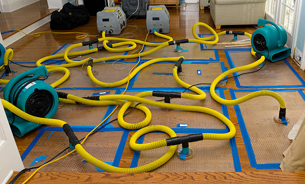 Professional Water Extraction technician working in Locust Valley, NY